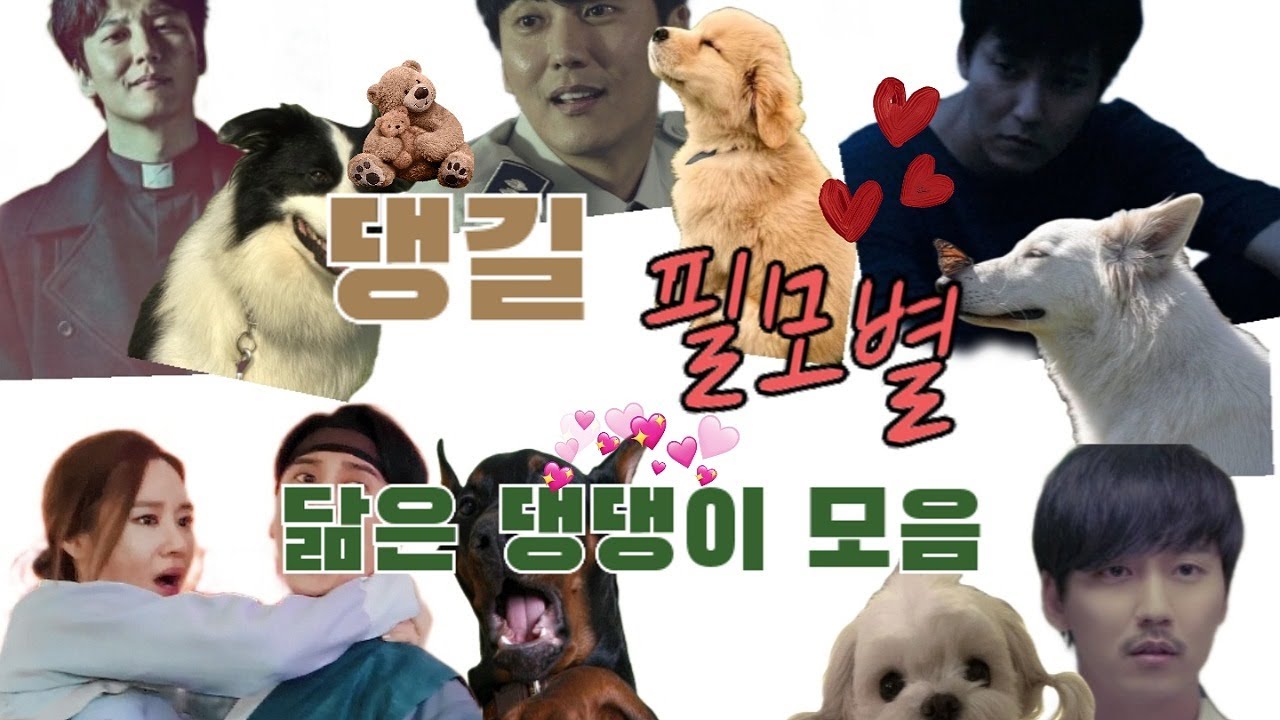 김남길 필모별🎬 닮은 댕댕이🐶 모음