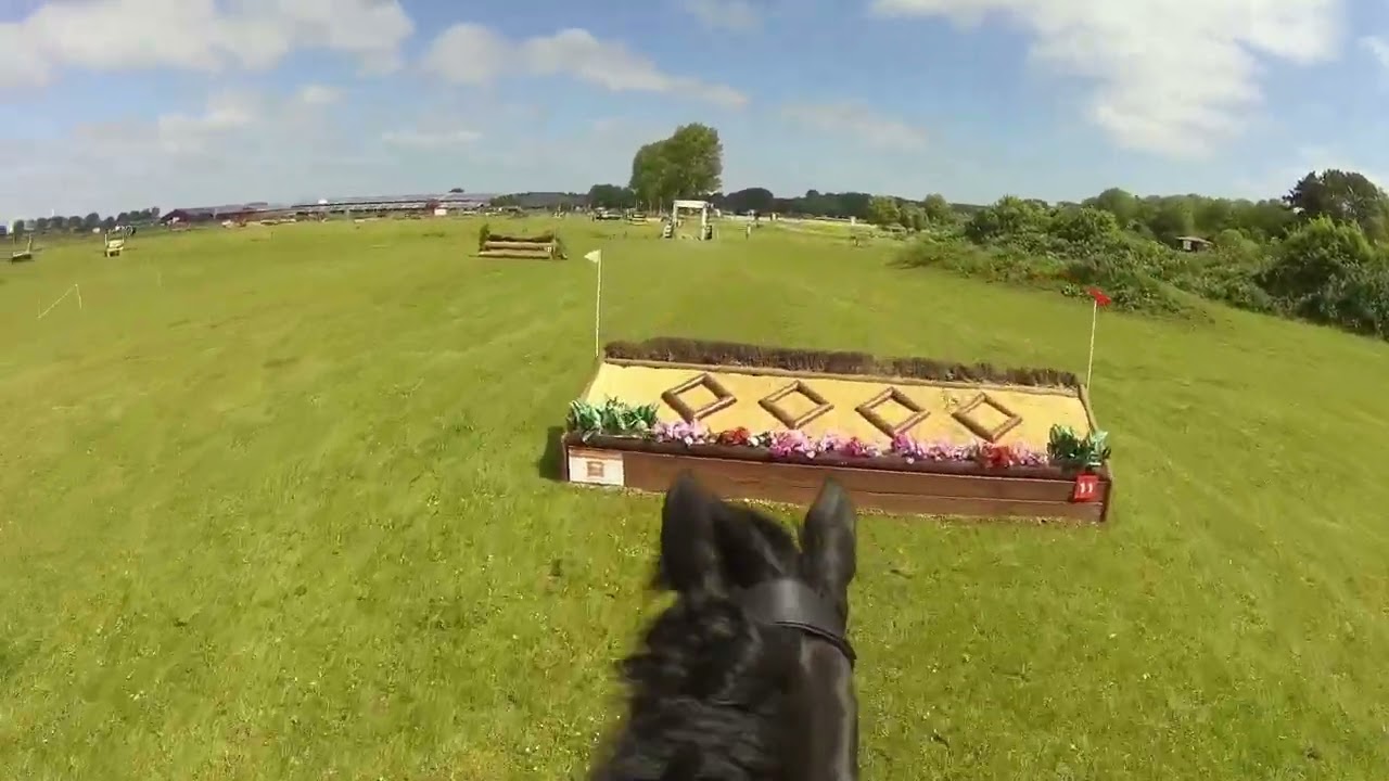 Vonk Event - Paarden Klasse M - 17 mei 2025
