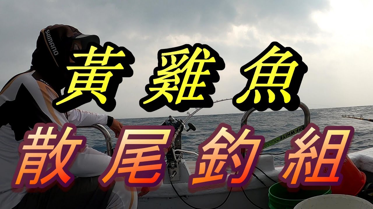 #黃雞散尾釣組綁法、釣組上線盤及下線盤的方式、4月4日西北瀬船釣黃雞
