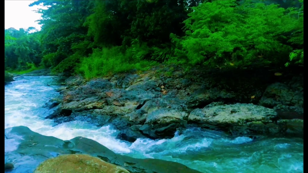 Tranquil River Ambience – Soft Stream and Forest Sounds for Deep Sleep and Inner Peace