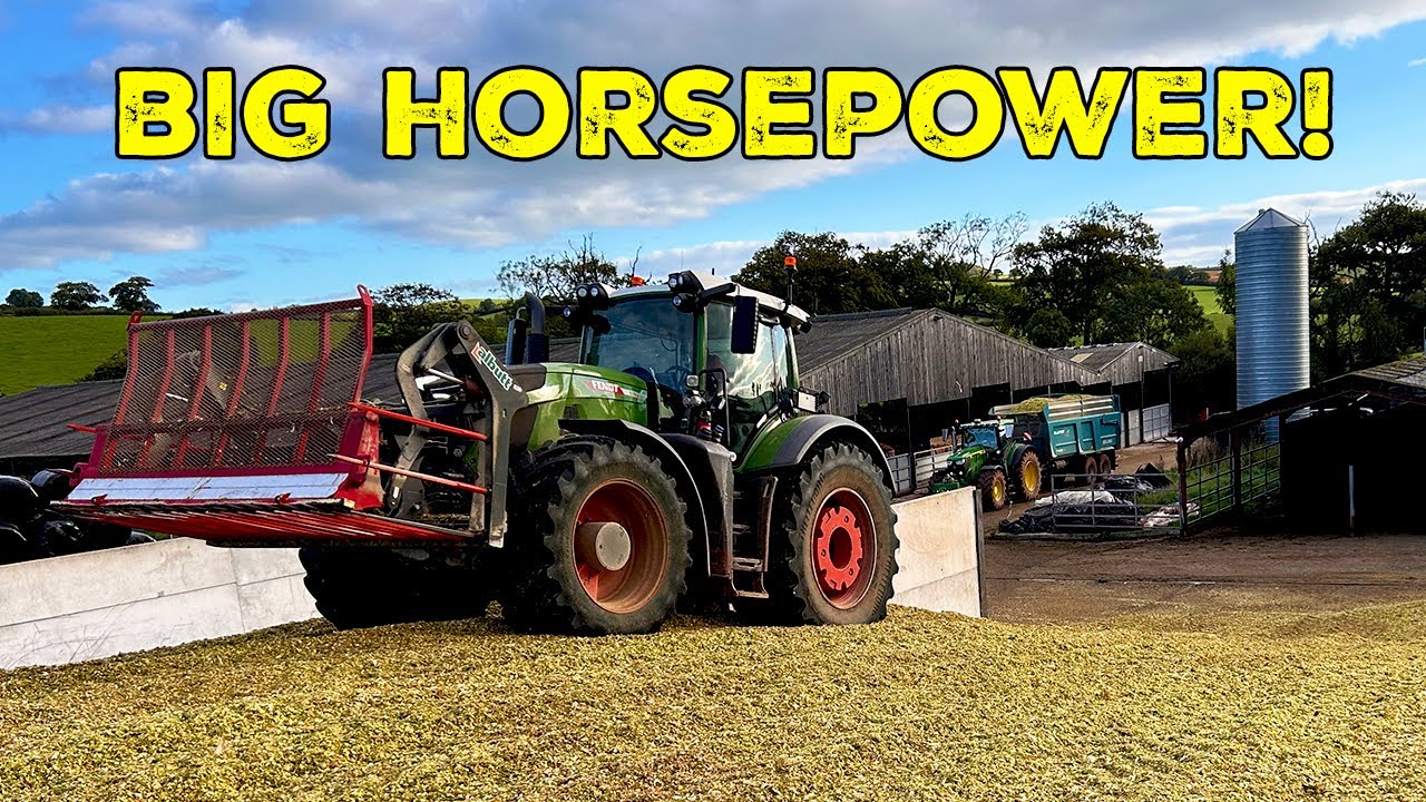 BIG Horsepower Chopping Maize!