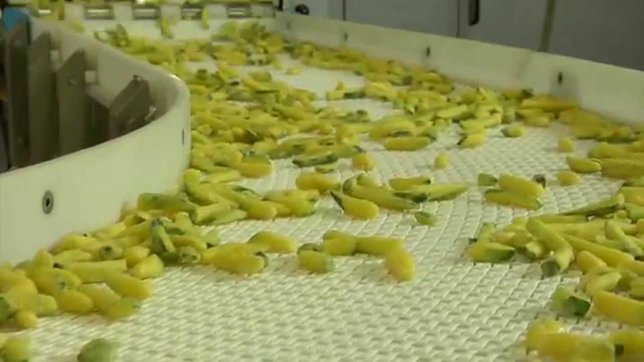 Orogel e l'innovazione: nuove linee di lavorazione