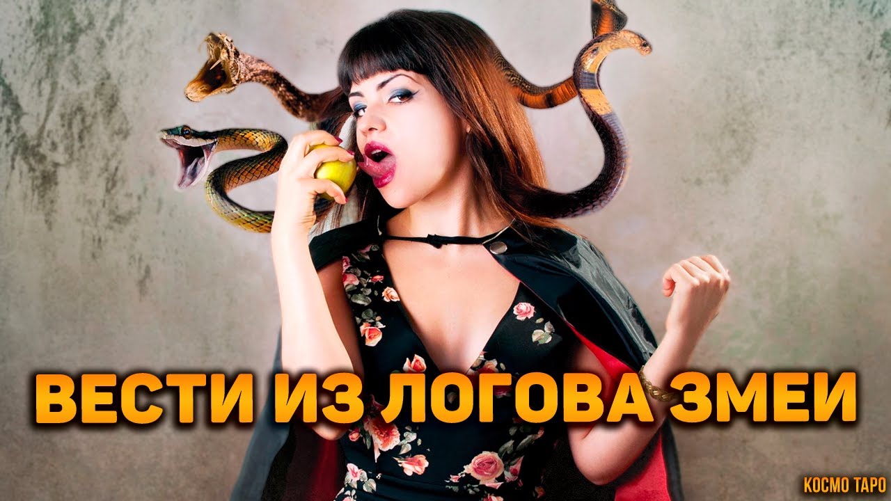 Что сейчас происходит в логове змеи?🐍 Как дела у соперницы? Как поживает?