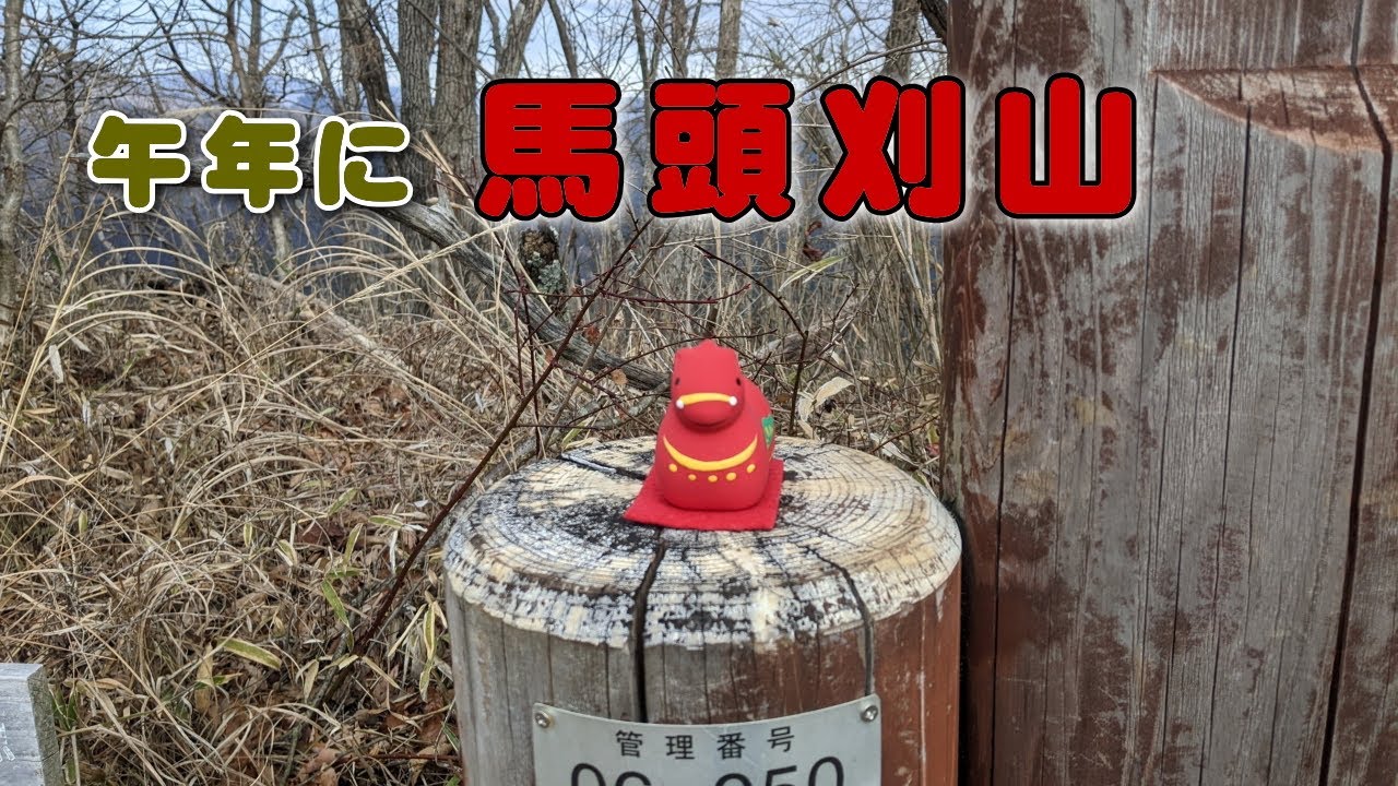 【東京　檜原村】馬頭刈山　2026.1.20 