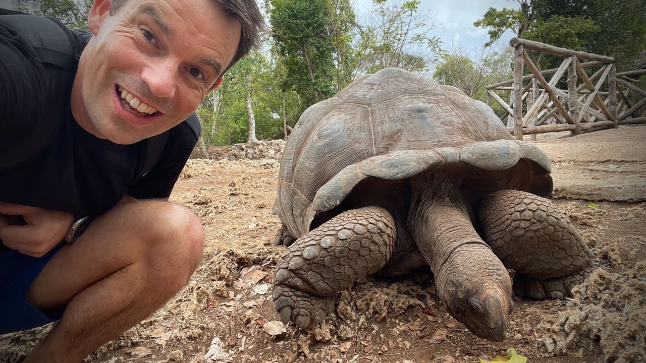 Visiting Zanzibar's Giant Tortoises on Prison Island 🇹🇿