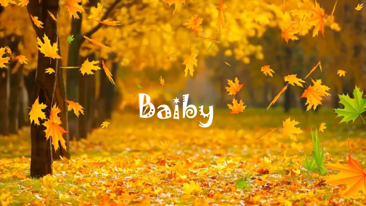 TAN P - BAIBY (Main Lyric Video) #Baiby #LyricVideo #TANP #LoveSong #Afrobeat #MeAmor
