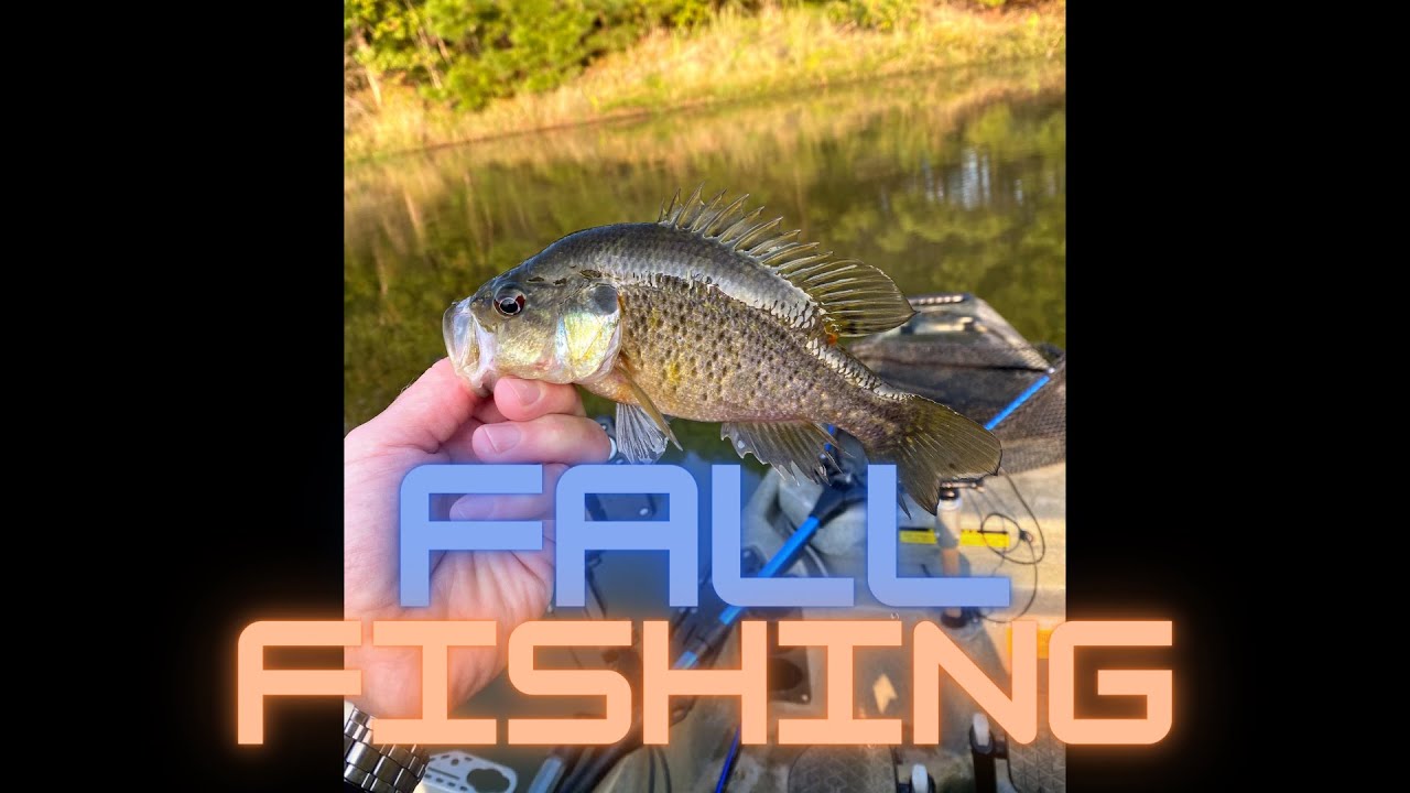 Fall Kayak Fishing - Quick trip on Lake Holcomb (AND something NEW!)
