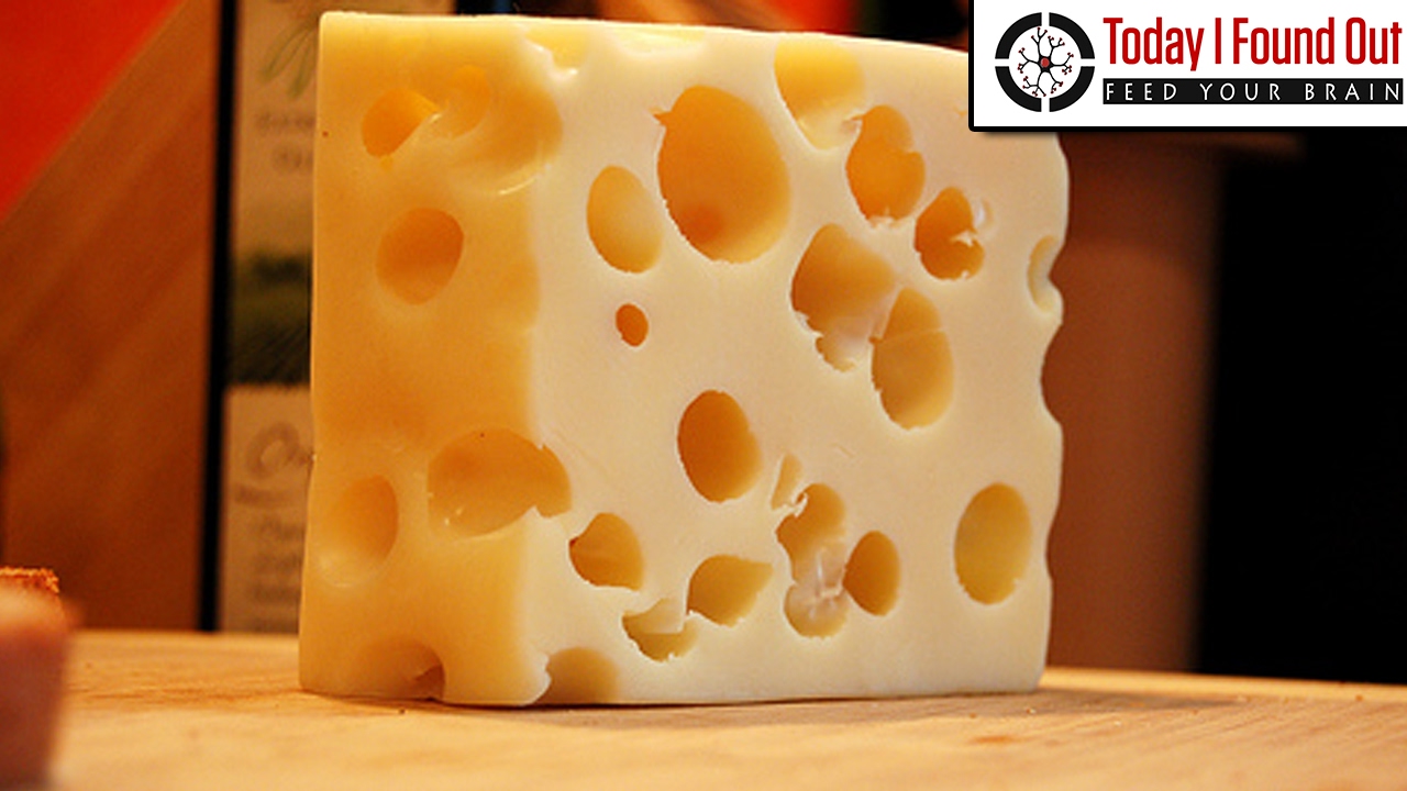 Why Does Swiss Cheese Have Holes?