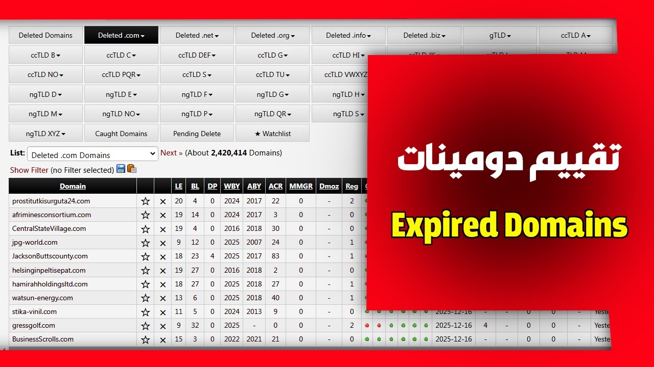 كيف تحدد قيمة الدومينات التي تجدها في موقع expired domains