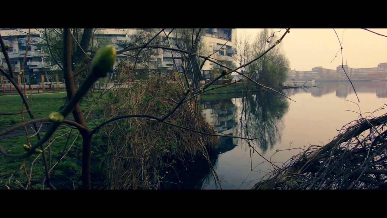 one day with olympus 9mm bodycaplens and bmpcc