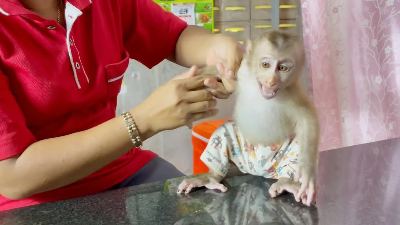 Hungrily DAM Reject Mom Wearing Outfit, He Just Attention To Milk Bottle