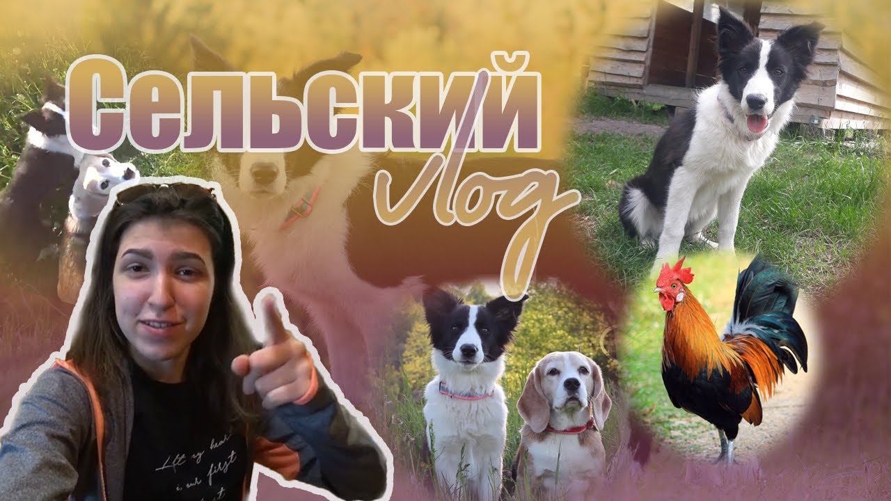Сельский VLOG ~ Уехали подальше от людей ~ Сколько словили клещей?