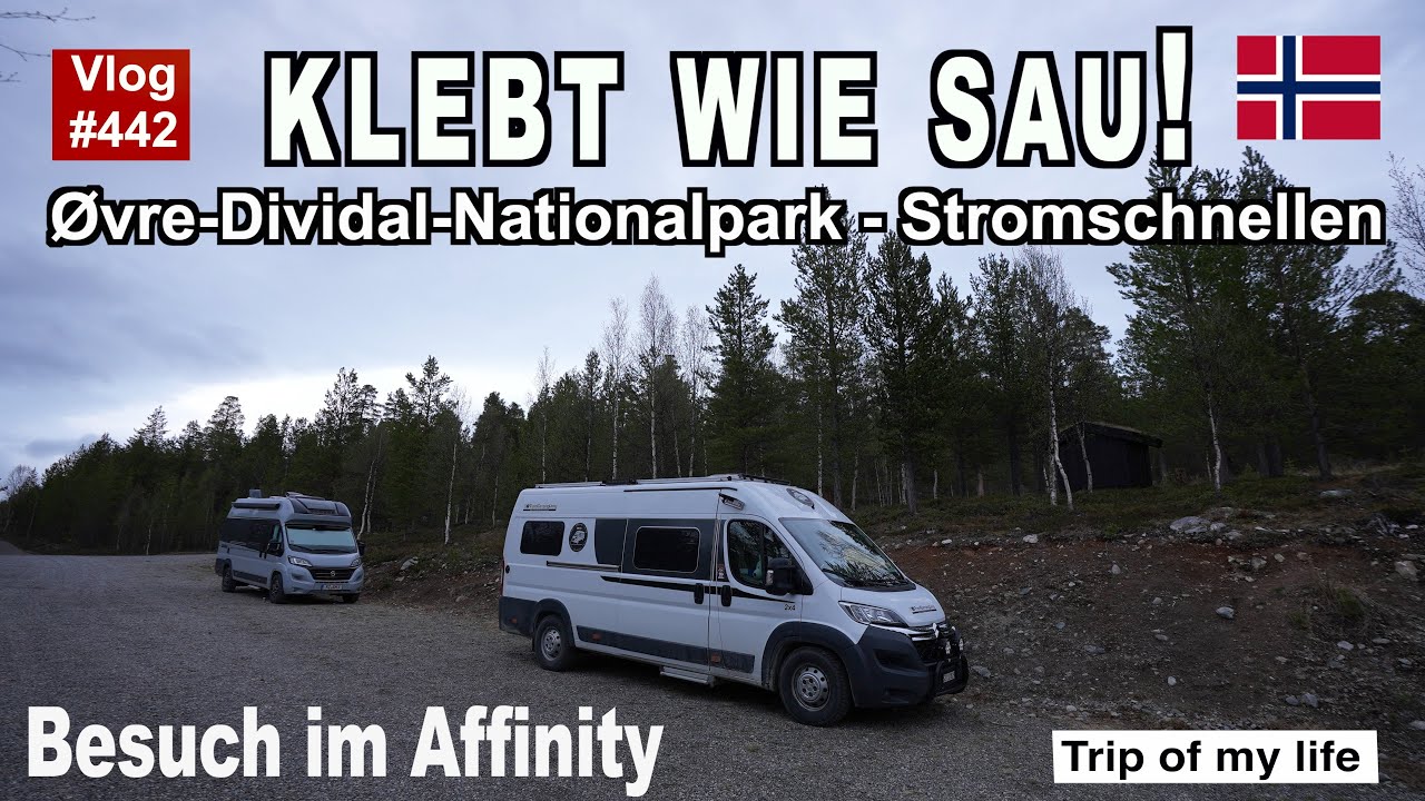 #442 Roadtrip Norwegen - Motorkontrolllampe & Besucher | Övre Dividal Nationalpark Stromschnellen