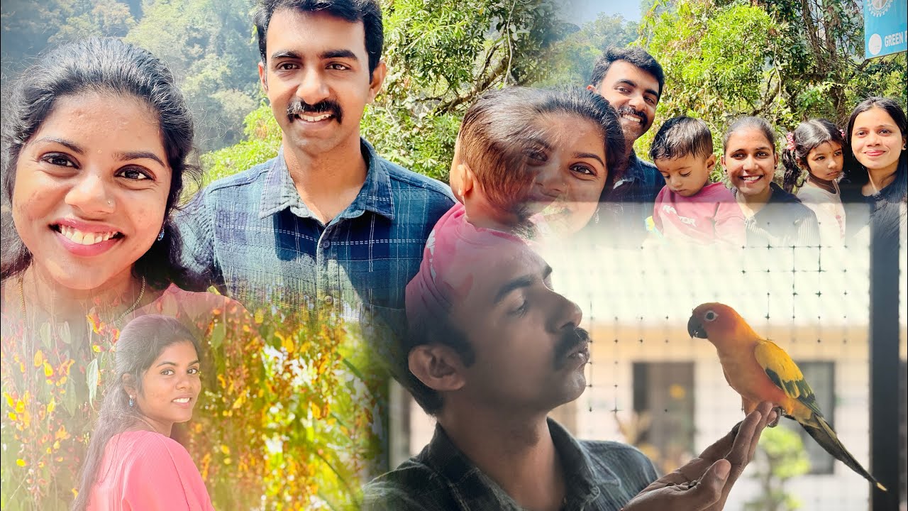 Munnar🌿✨ Vlog| Day 01| #munnar #travelvlog #kerala 