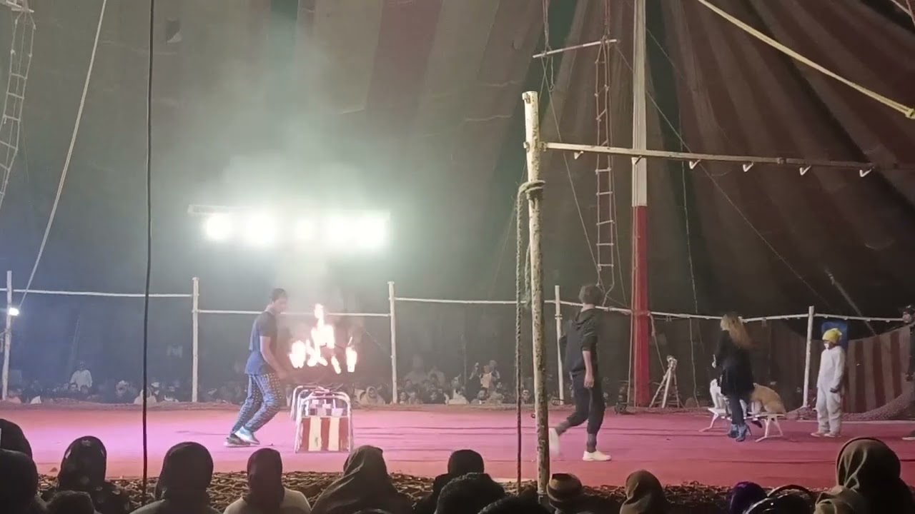 Lucky Irani Circus