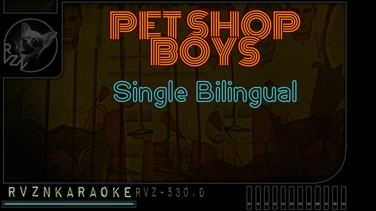 PET SHOP BOYS - 