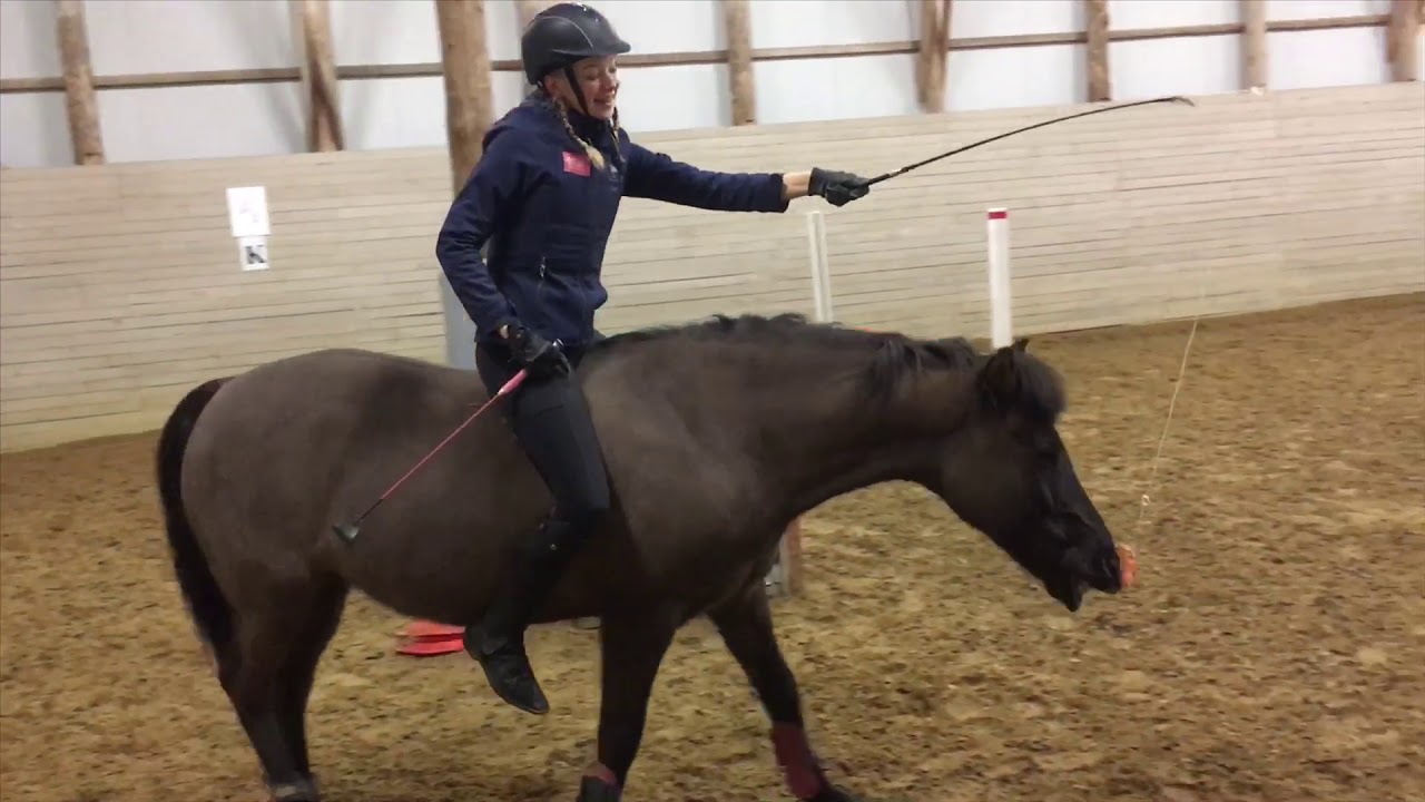 Sarah Petersoni loovtöö. Lühifilm “Erinevad ratsaspordialad ja eelarvamused ratsaspordis”