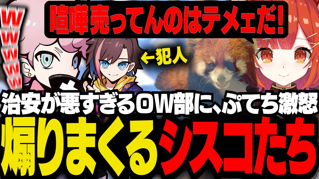 治安が悪すぎるOW部にぷてちがキレる！罵り合うシスコたち【OW２/ふらんしすこ/切り抜き】