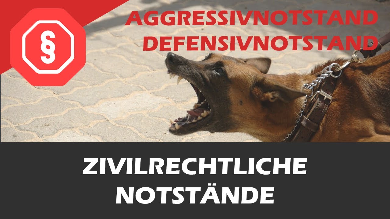 Aggressivnotstand & Defensivnotstand - Strafrecht AT I 11 - &sect; 228, 904 BGB
