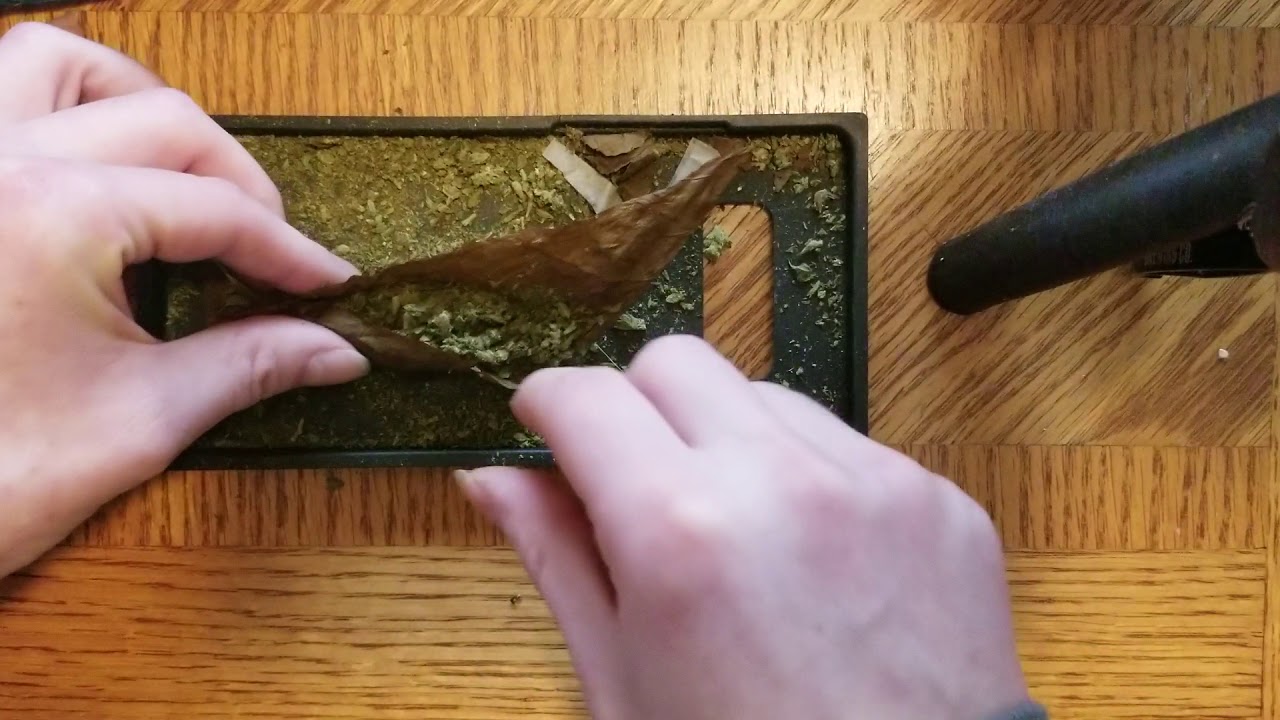 EASIEST WAY TO ROLL A BACKWOODS/FRONTO!!