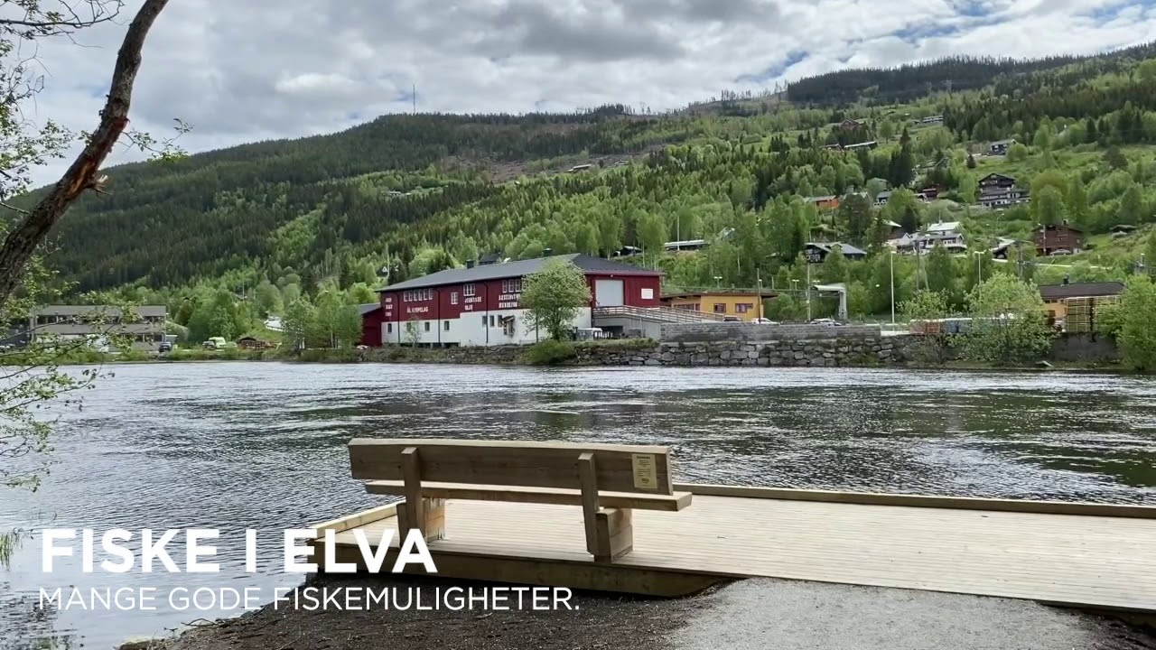 Kortreiste ferieperler i &Aring;l