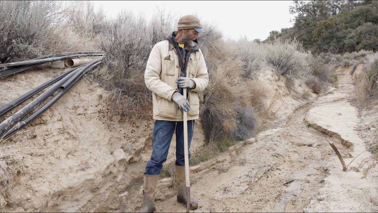 The Wetland Unzipping - from the Dry Horizon Documentary by Alex Brown and Sean Huntley