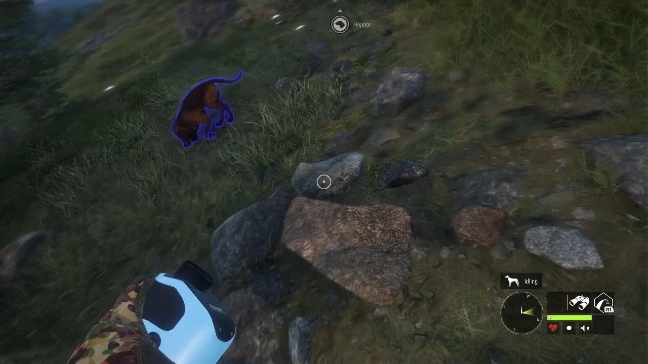 A Diamond Goat!!!!! HCOTW E7
