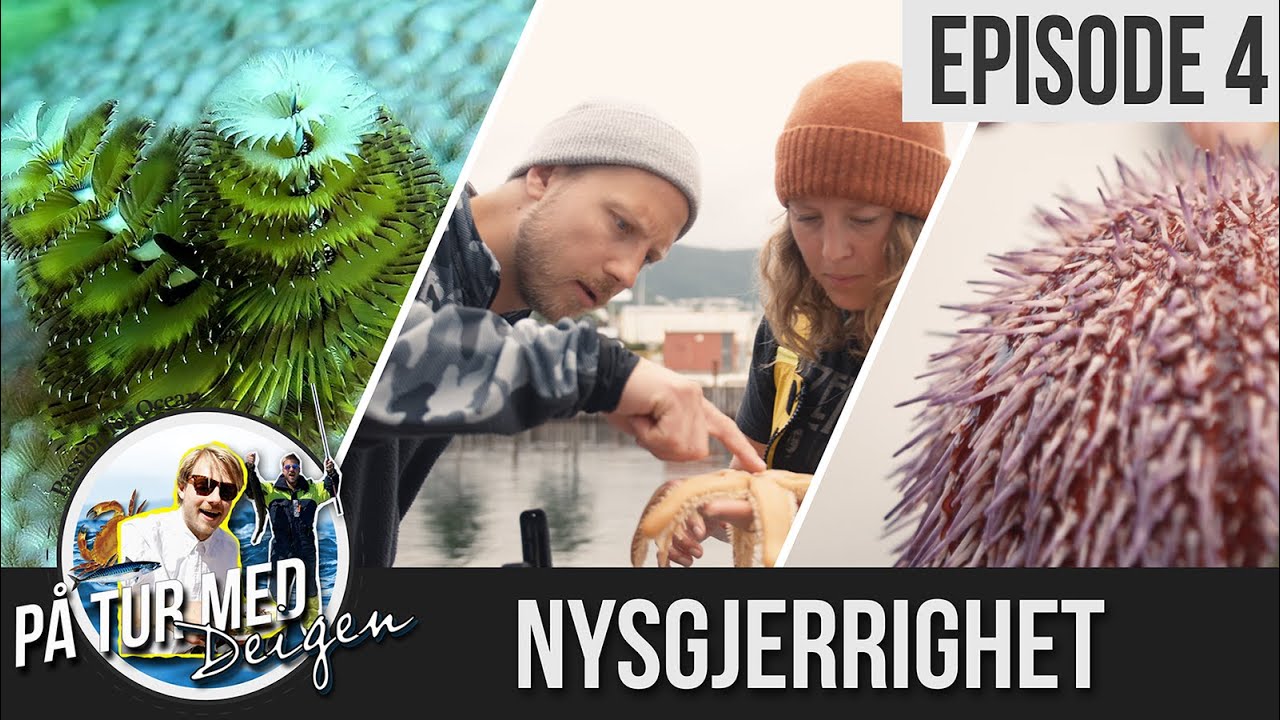 EP4: Nysgjerrighet// På tur med Deigen