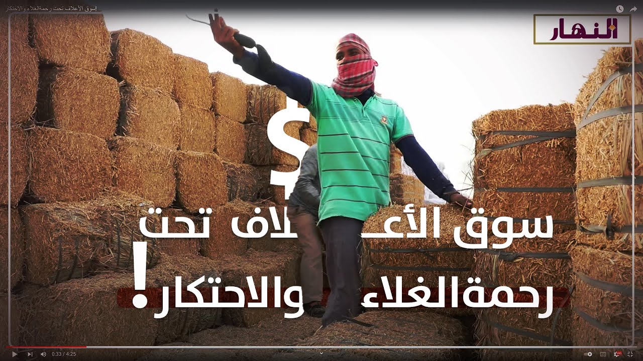 سوق الأعلاف تحت رحمةالغلاء والاحتكار!