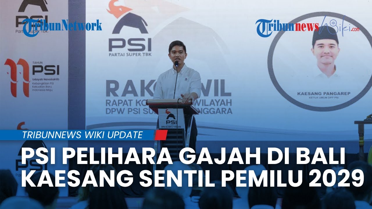 PSI Pilih Bali untuk Pelihara Gajah, Kaesang Minta Seluruh Kader Siap Perang Pemilu 2029