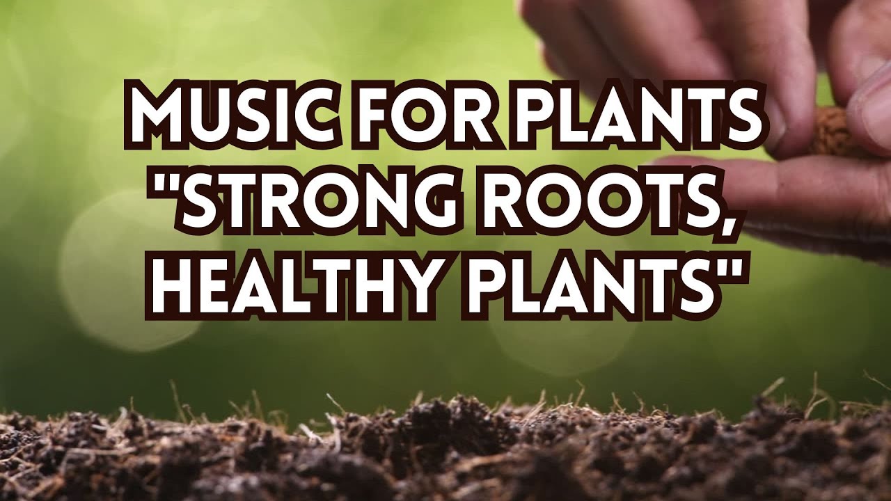 Music for plants | Strong Roots, Happy Plants | Music for Explosive Growth