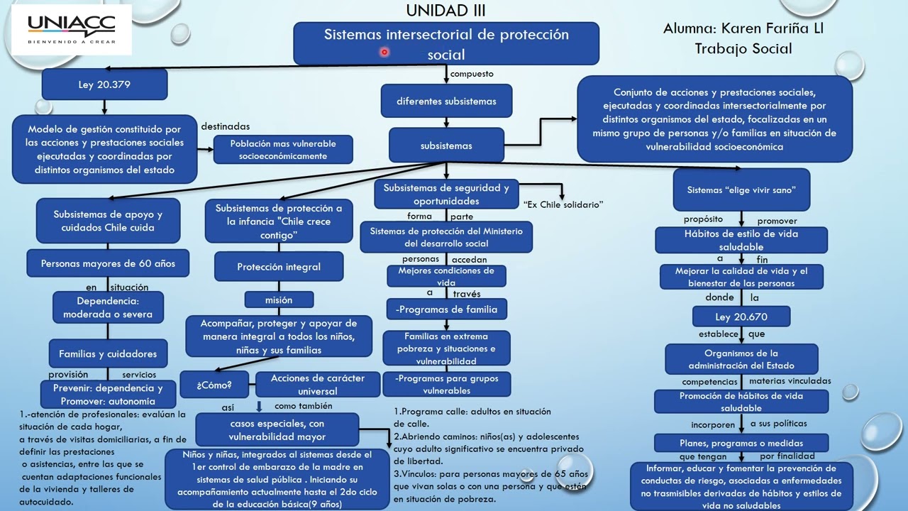 Sistemas de protecci&oacute;n social en Chile