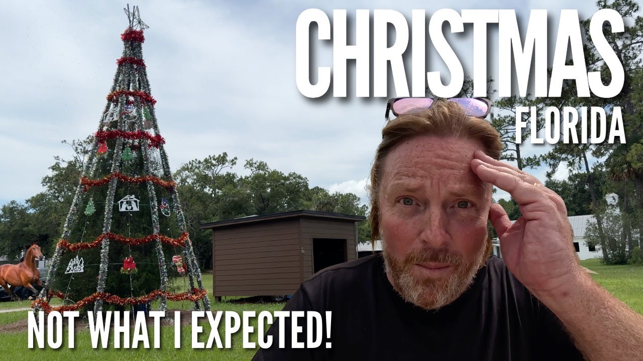 Wild Gators, a Surprising Nativity Scene, and a Fort's Outhouse! Christmas, Florida