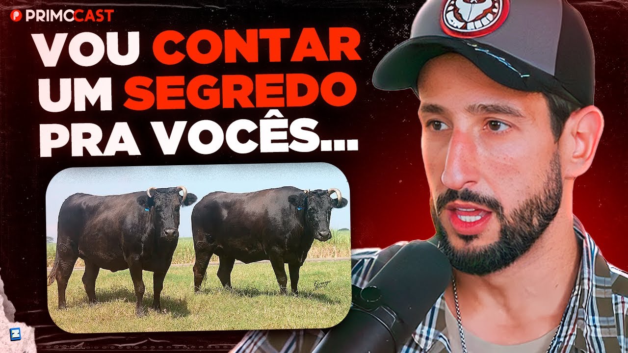 NETÃO EXPLICA COMO ESCOLHE SEUS GADOS WAGYU | PrimoCast 373