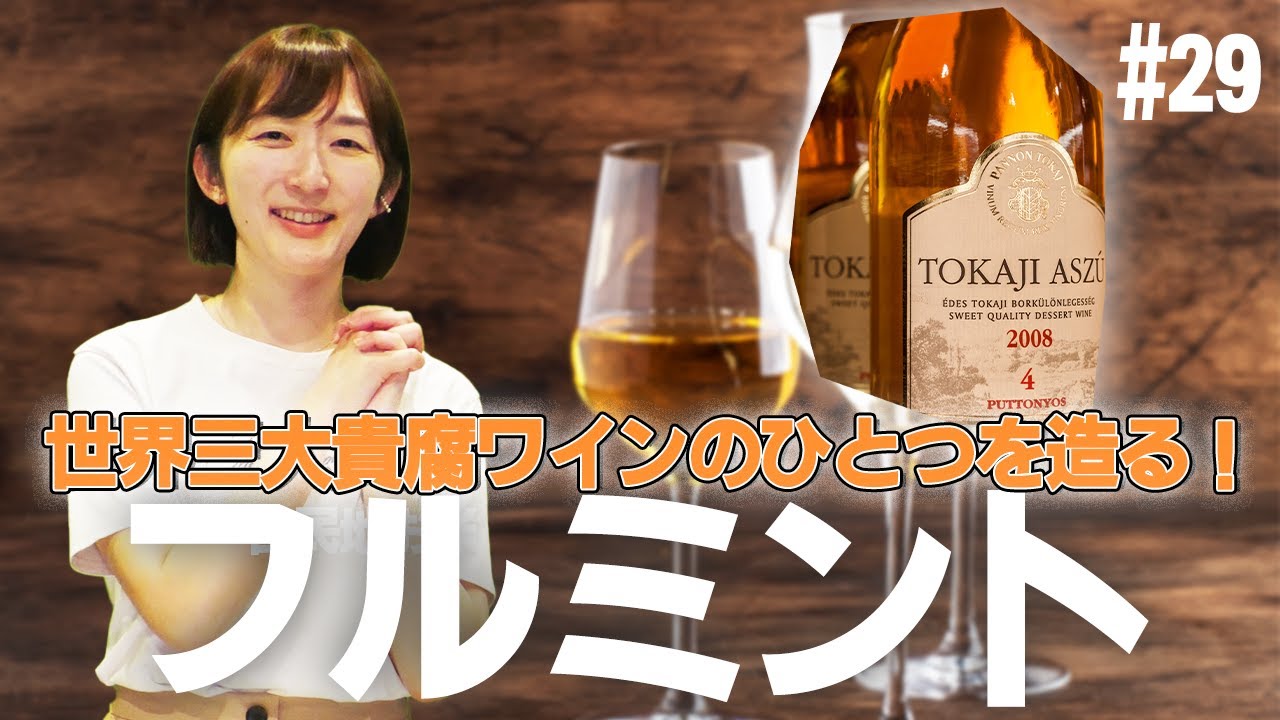 #29 フルミント｜ソムリエ・ワインエキスパート試験に登場するブドウ品種たち