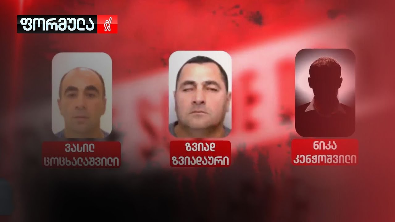 რა მოხდა წინანადლის ტყეში?