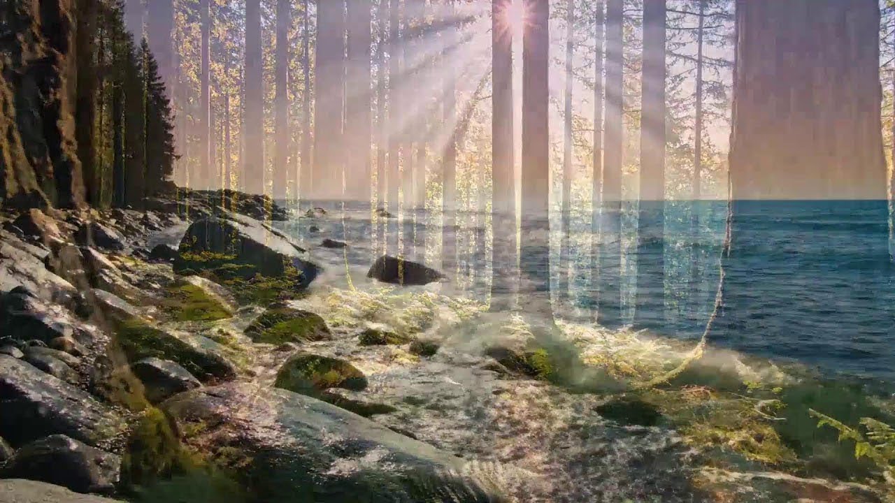 Relaxed Ocean Deep House &ndash; Chill EDM Mix for Easy Days 🌊🎶