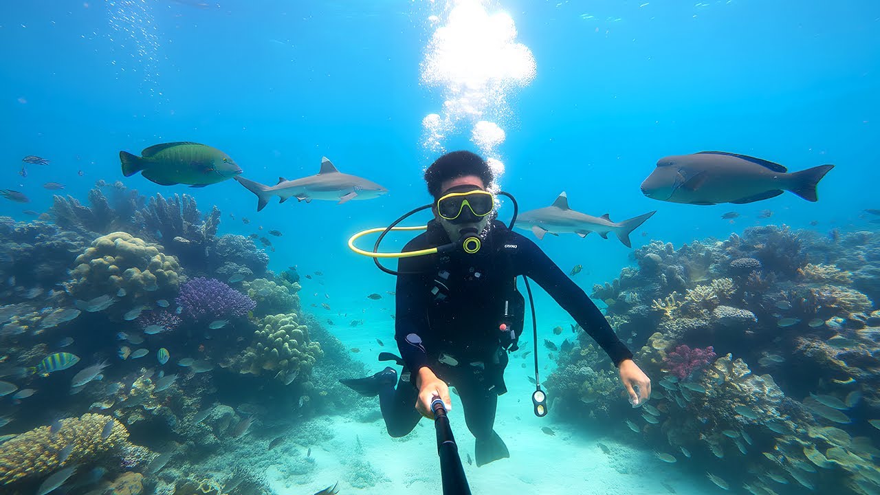 The Secret Life Beneath the Coral Reef | Full Underwater Documentary