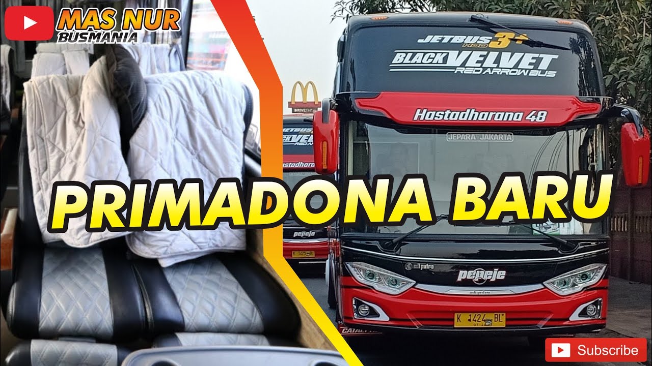 SEJARAH BUS PEPEJE || MAS NUR busmania