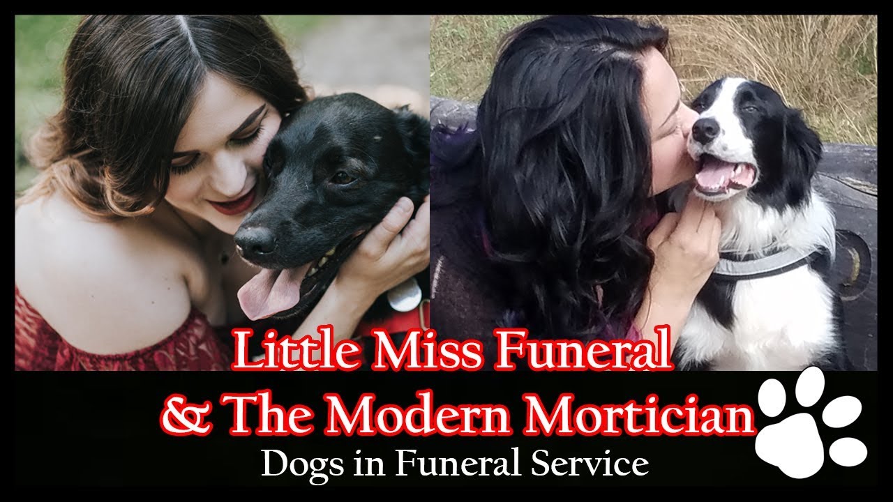 THE MODERN MORTICIAN + LITTLE MISS FUNERAL | Dogs In Funeral Service