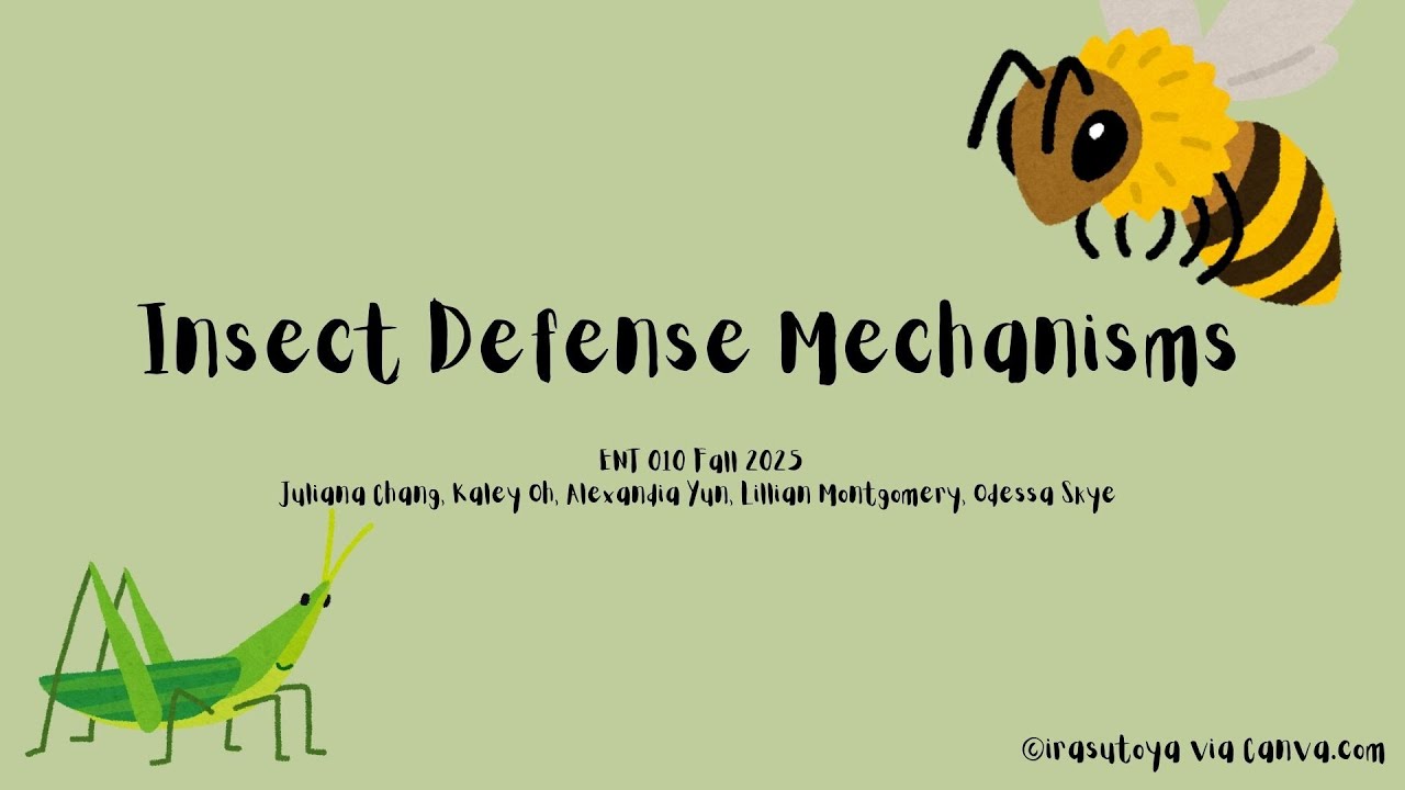 Insect Defense Mechanisms