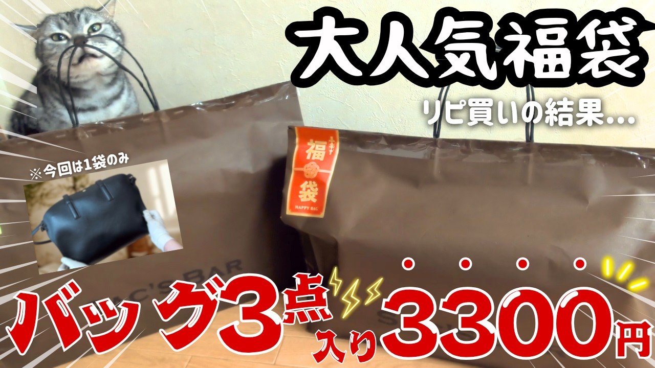 【3300円福袋】去年神だったバッグ3点入りをリピ買いした結果&hellip;