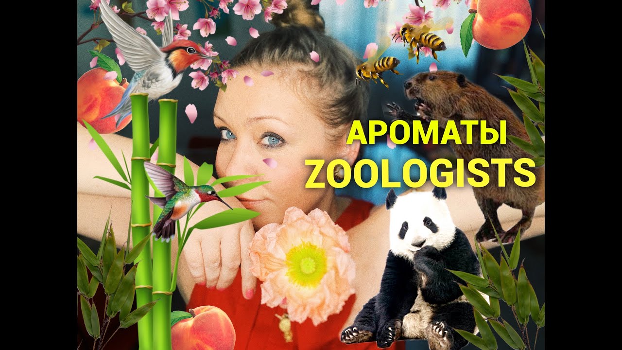 Ароматы Zoologists Perfumes! Удивили..