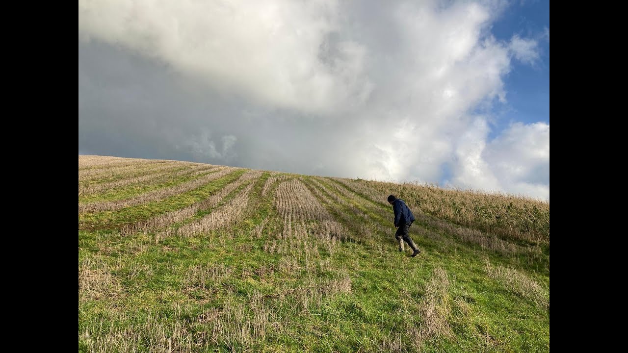 On farm nature-based solutions to the nature and climate emergency