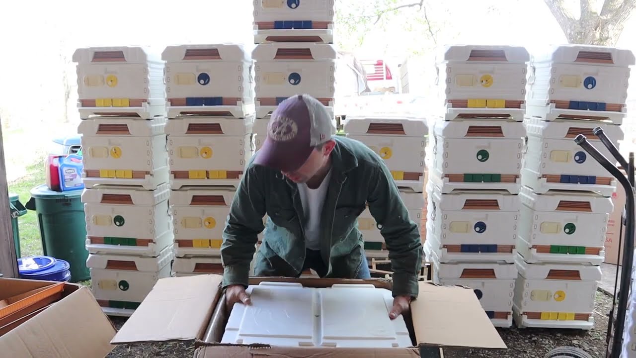 Apimaye Hive. Getting them ready for honeybees