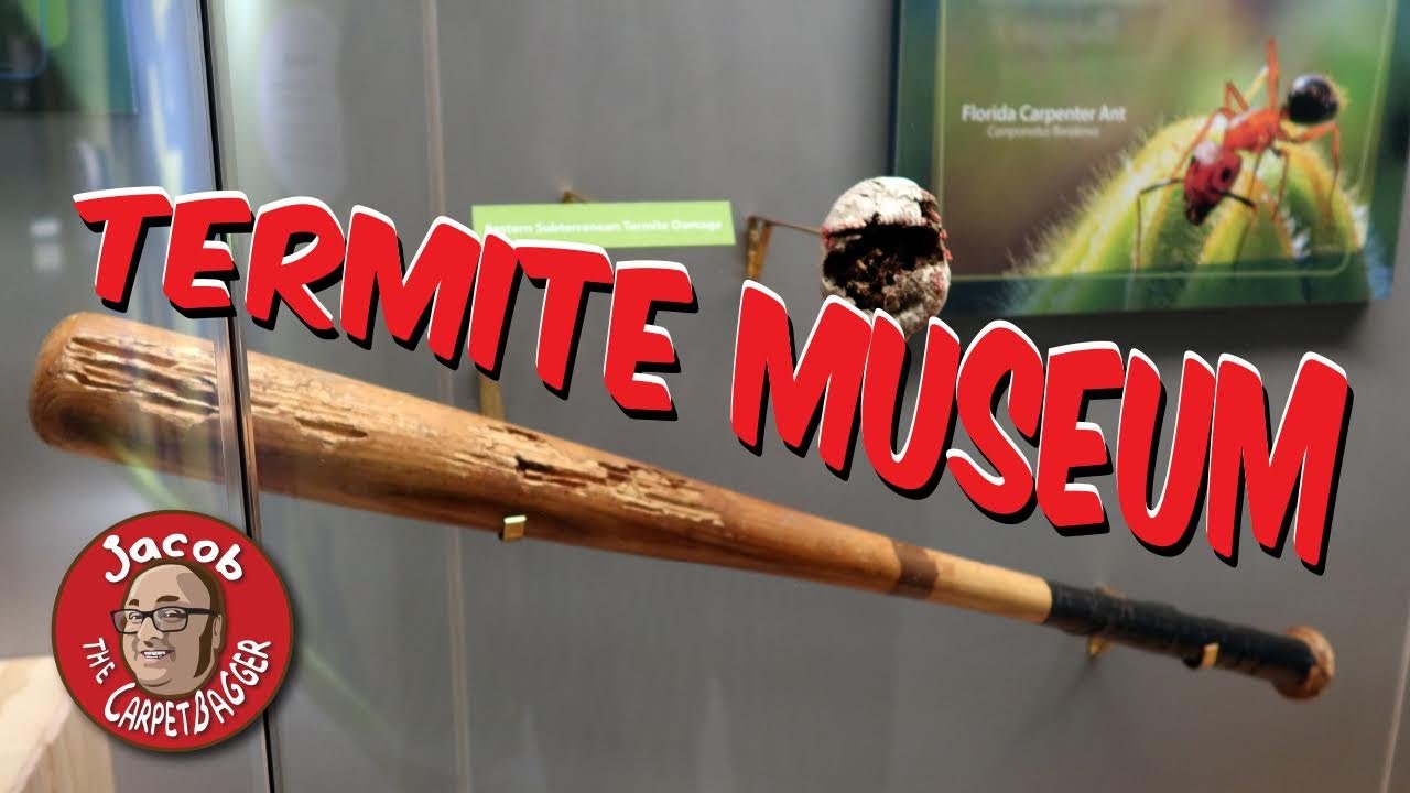 Museum Inspired by Termites - Cook Museum of Natural Sciences