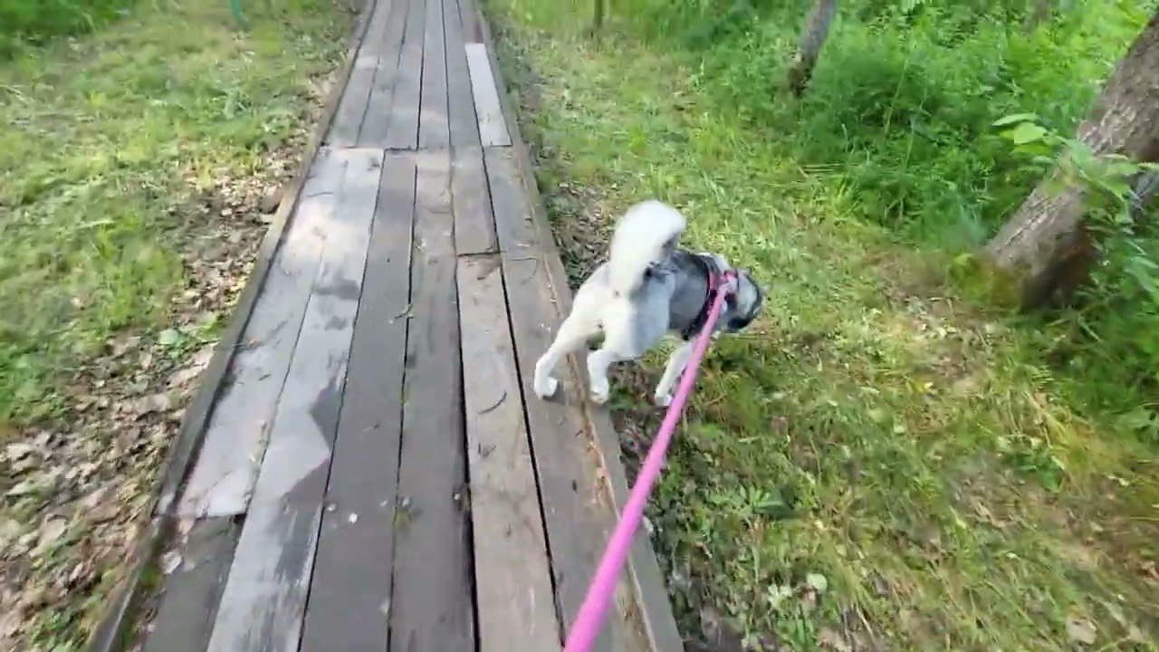 Russia: Big Water Adventures with Our Husky & Family Update!