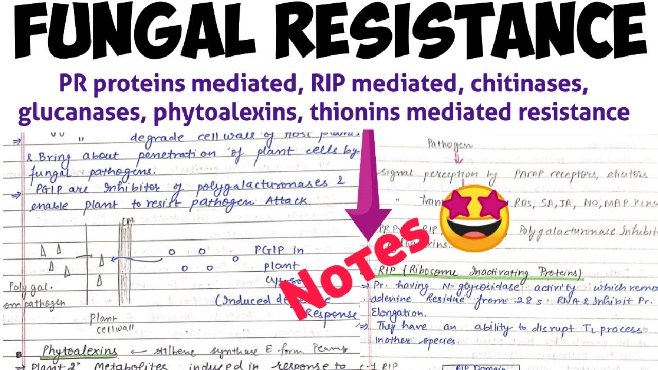 Fungal Resistance || Transgenic plants || plant biotechnology#notes 🤩