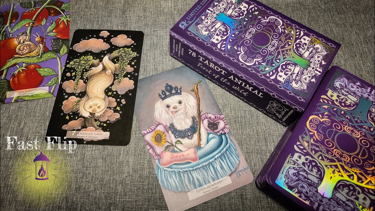 Limited Edition 78 Tarot Animal Fast Flip Kickstarter