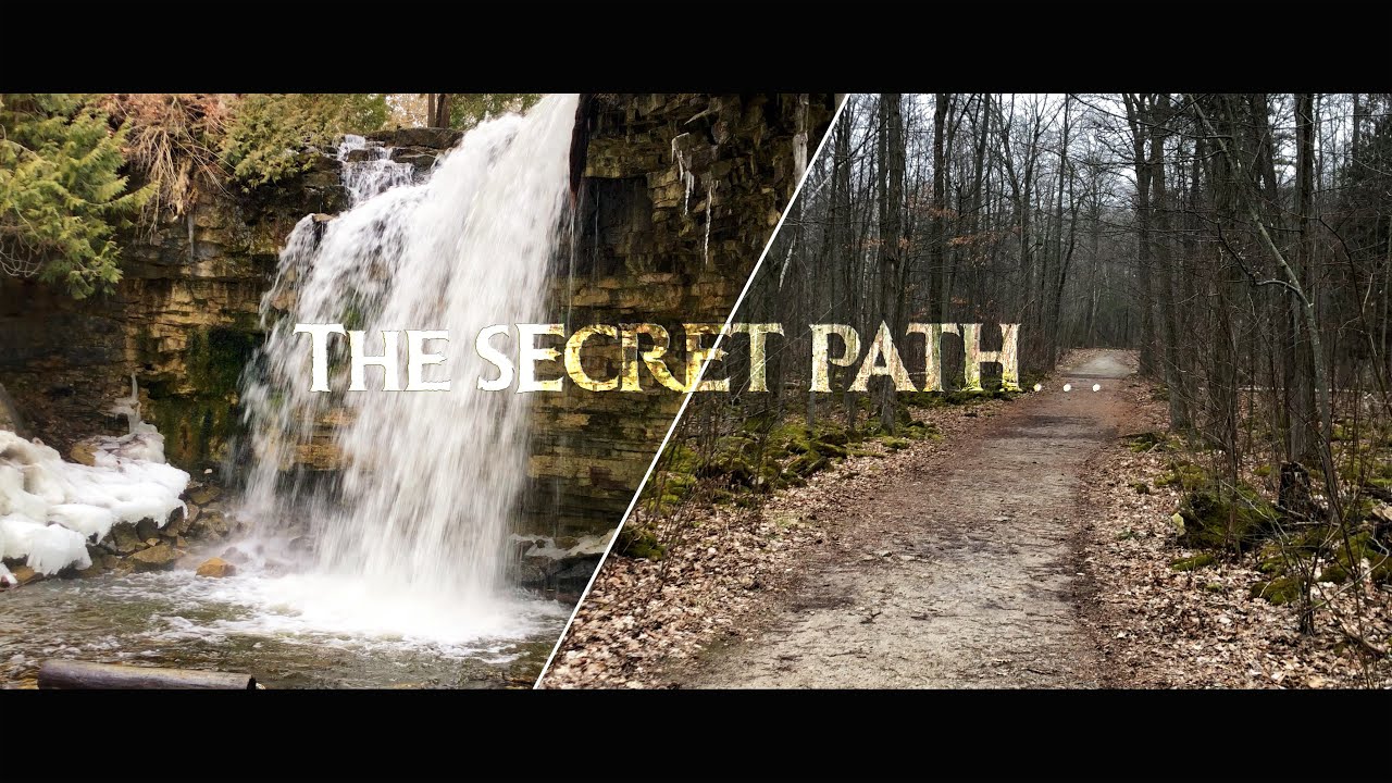 Exploring the Hidden Gems of Hilton Falls 🌲- A Natural Paradise!